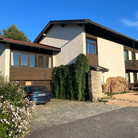 Haus Im Gruenen Apartment Saalfelden Exterior photo